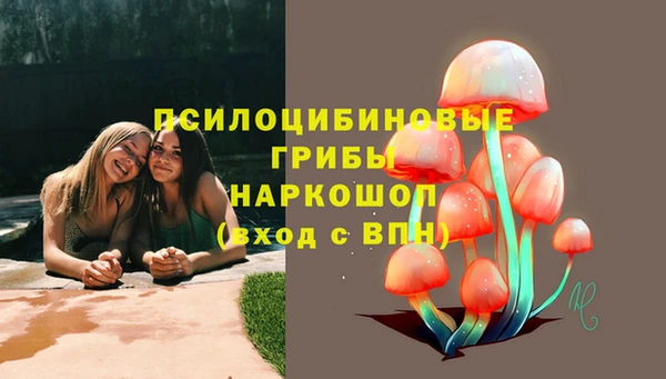 spice Верея