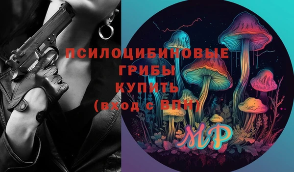 apvp Верхний Тагил