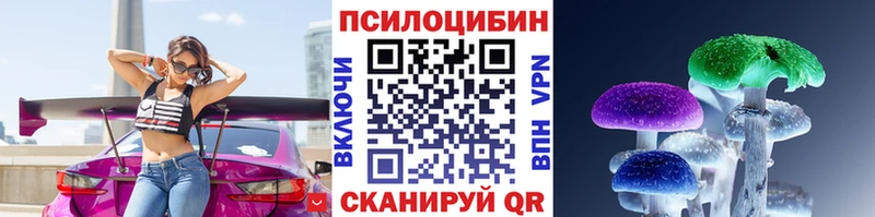 kraken онион  Астрахань  Псилоцибиновые грибы Psilocybine cubensis 